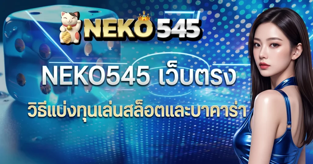 NEKO545 เว็บตรง วิธีแบ่งทุนเล่นสล็อตและบาคาร่า
