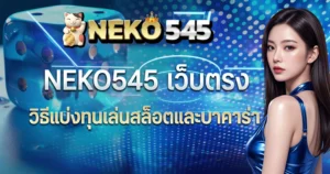NEKO545 เว็บตรง วิธีแบ่งทุนเล่นสล็อตและบาคาร่า